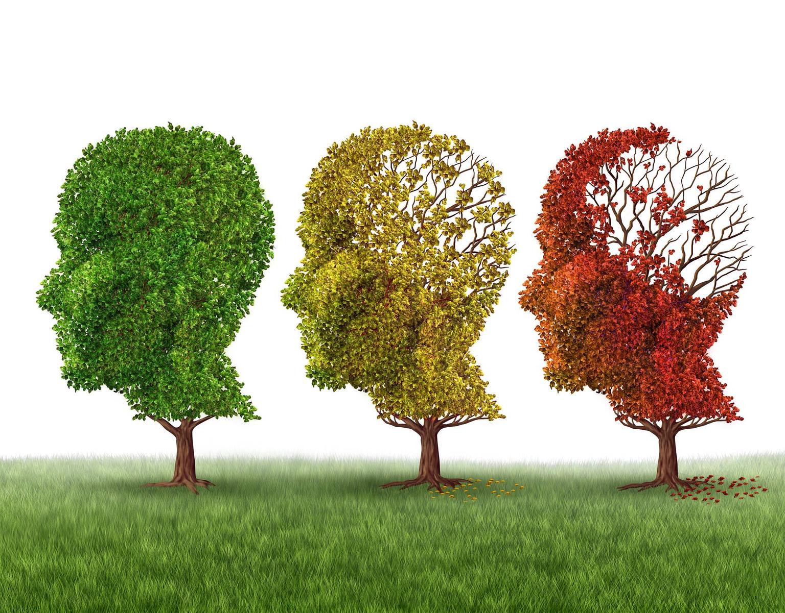 Boala Alzheimer: Cauze, diagnostic, tratament