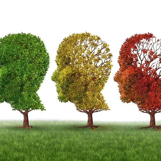 Boala Alzheimer: Cauze, diagnostic, tratament